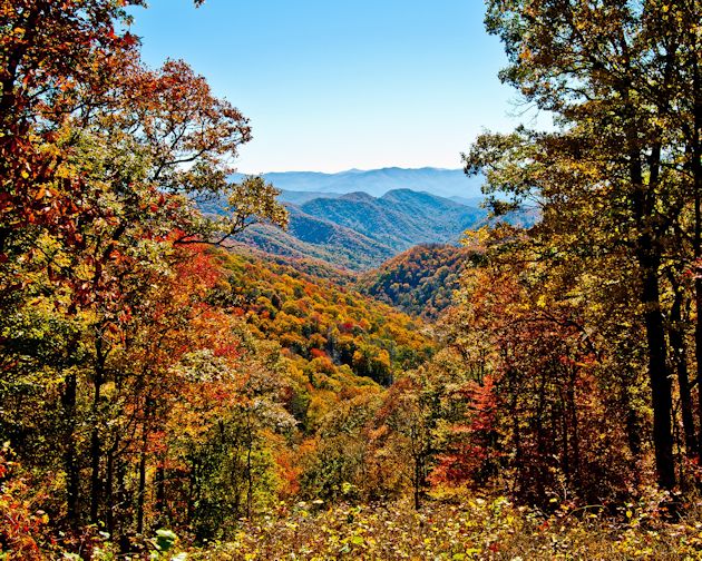 Fall colors in Great Smoky Mountains National Park, Tennessee