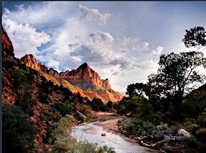 Lower Canyon in Zion National Park