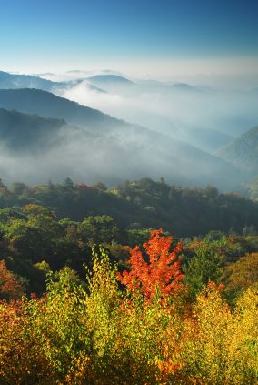 Great Smoky Mountains national park photo
