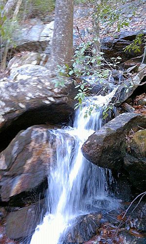 Waterfall along Nubbin Creek Train in the Cheaha Wilderness in Alabama