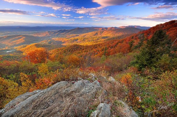 Shenandoah National Park in the Fall