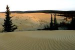 Great Kobuk Sand Dune